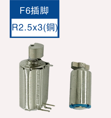 微型马达 F6插脚  R2.5X3